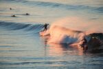 The surfer blog